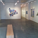 D. Schimmel Exhibition